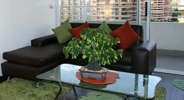 Апартаменты Standard Aparthotel Braman