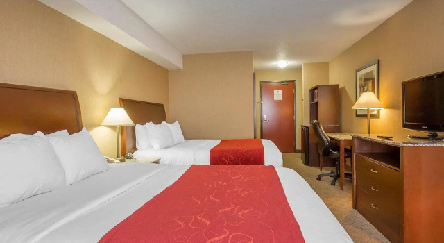Четырёхместный номер Standard Comfort Inn & Suites