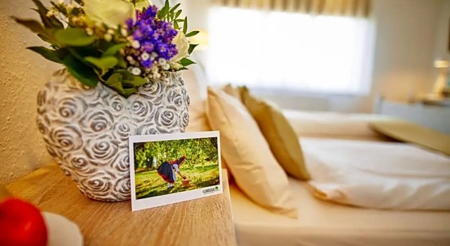 Номер Standard Hotel Landgraf