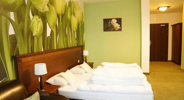 Двухместный номер Standard Hotel Neo Międzyrzecz
