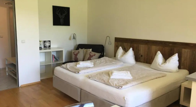 Студия Deluxe Appartements Domizil
