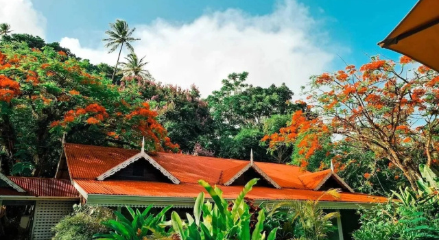 Двухместный люкс Fond Doux Eco Resort