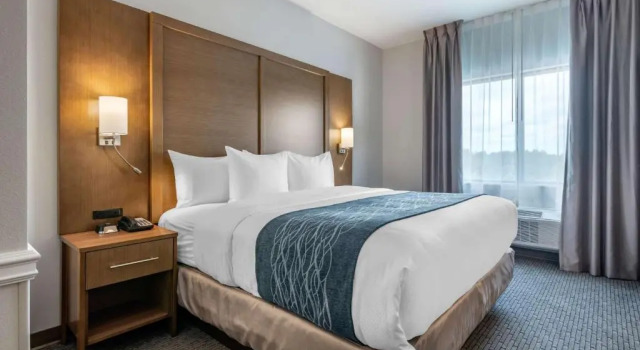 Люкс Comfort Suites Stuart-Hutchinson Island
