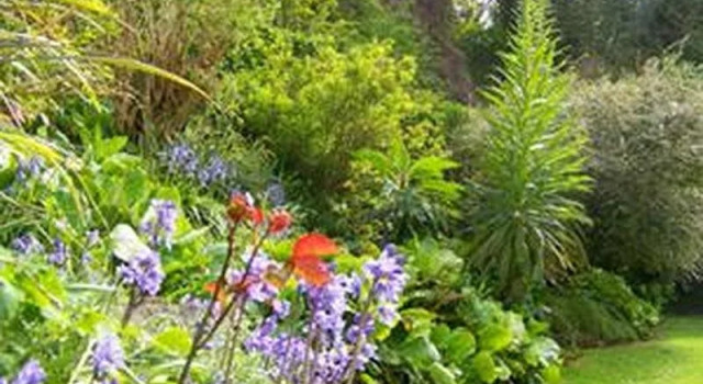 Eversley Hotel, Varaa Hotelli Ventnor Isle of Wight
