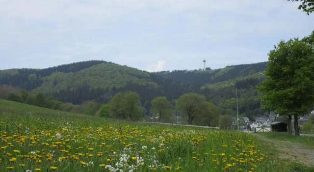 Номер Standard Gästehaus Behle-Schäperken