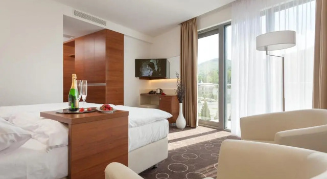 Номер Standard Wellness Hotel Panorama
