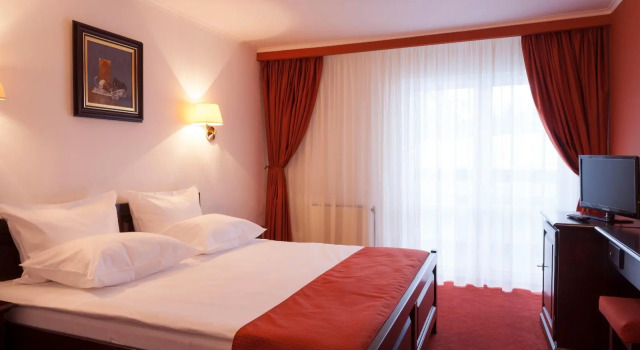 Номер Standard Hotel Piatra Mare
