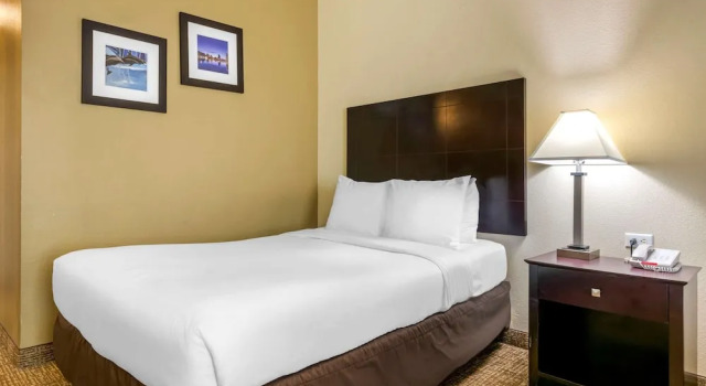 Номер Standard Comfort Inn International Dr.