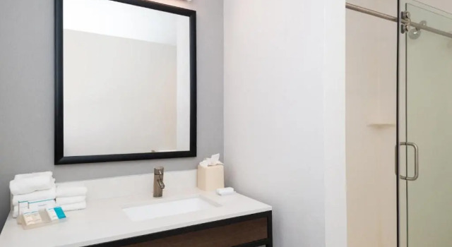 Четырёхместный номер Deluxe Hilton Garden Inn Baton Rouge Airport