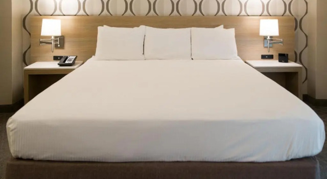 Двухместный номер Standard Radisson Hotel Duluth-Harborview