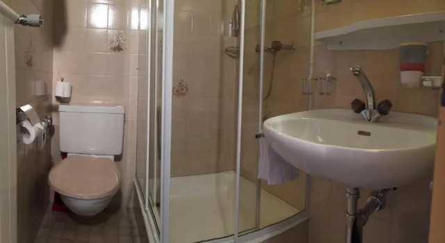 Номер Standard Hotel zum See