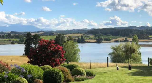 117 Higgs - Room With a View