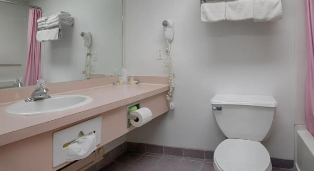 Четырёхместный номер Standard Flamingo Motel