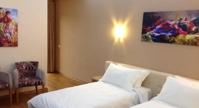 Двухместный номер Hotel Green