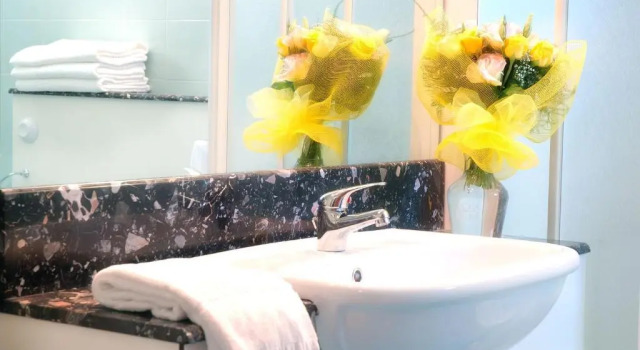 Номер Standard Hotel Residence Le Terrazze