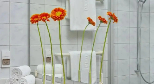Номер Comfort Hapimag Apartments Athens