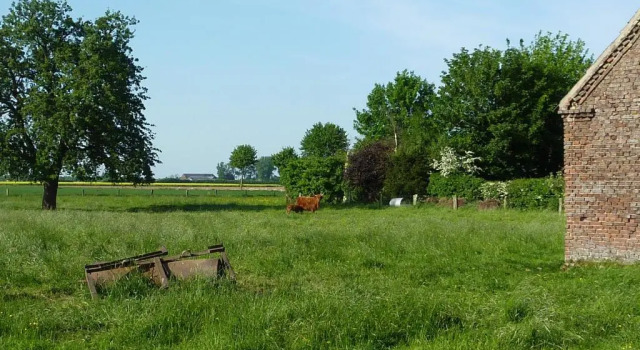 Rhinkieker Rees, Foglalás Szálloda Rees Lower Rhine