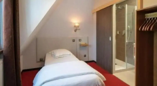 Standard Single room Hôtel Le Verger De Bischwiller