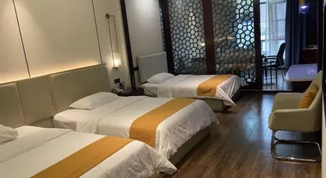 Люкс Feinisic Hotel (Changsha Insurance Professional College)