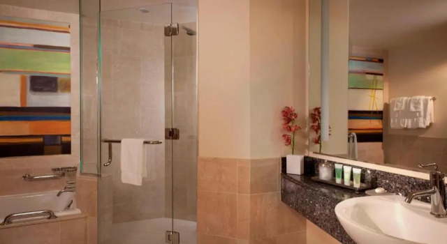 Двухместный клубный номер Standard с видом на город JW Marriott Grand Rapids