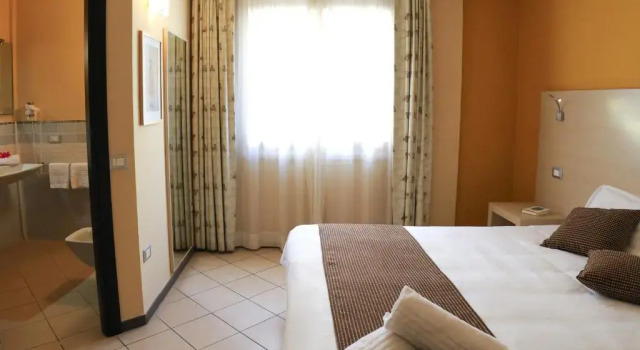 Двухместный номер Classic Janus Hotel