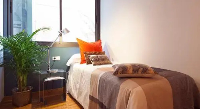 Apartment Barcelona Rentals - Penthouse with Terrace