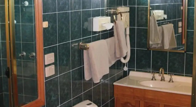 Двухместный номер Executive Nandewar Motor Inn