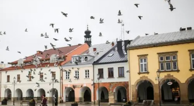 Glass House, Book Hotel Krosno 