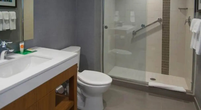 Двухместный номер Hyatt Place Detroit/Novi