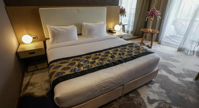 Номер Executive Clarks Inn suites Raipur