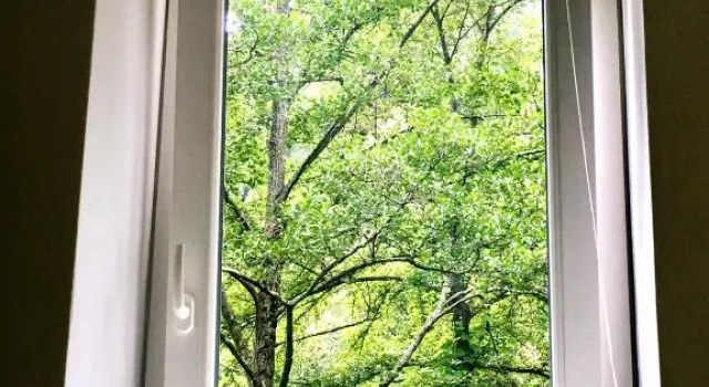 Номер Standard Secret Gardens