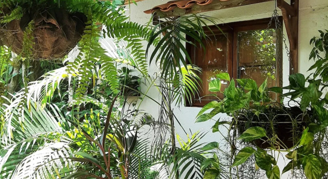 Четырёхместный номер Superior с видом на внутренний двор Hotel Boutique Casa de Los Santos Reyes Valledupar