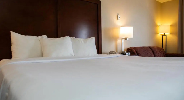 Люкс Comfort Inn Lethbridge South