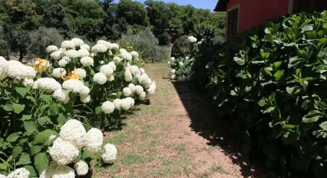 Вилла Villa Near Lake Bracciano With Pool