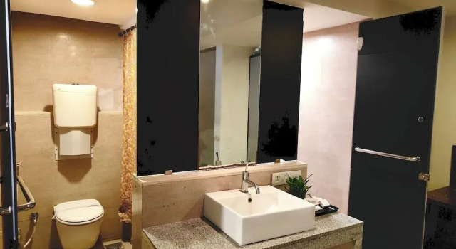 Люкс Luxury The Altruist Wagholi Hotel