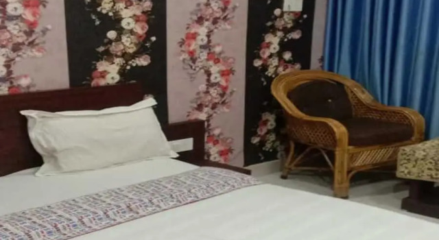 Номер Deluxe Hotel Basant Palace