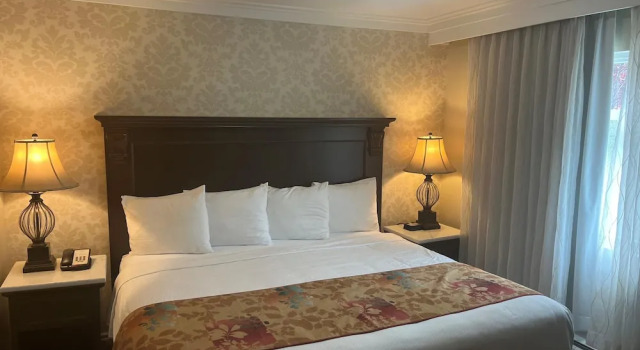 Номер Premium Arbutus Inn