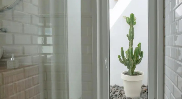 Номер Standard La Concha Boutique Apartments