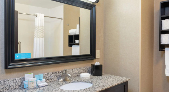 Двухместный номер Standard Hampton Inn & Suites Saginaw
