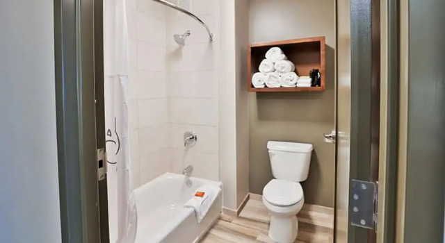 Семейный люкс Great Wolf Lodge Williamsburg