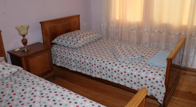 Villi's Guest House, Prenota Affittacamere Hotel a Kakheti con parcheggio, Parcheggio