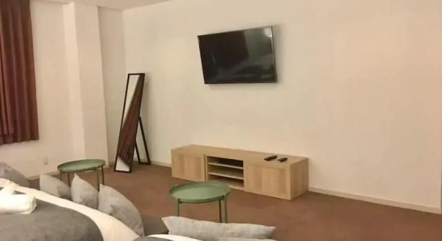 Двухместный номер Standard Color Nipponbashi