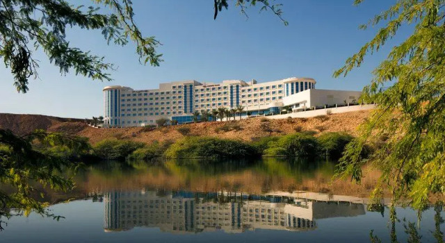 Двухместный люкс Diplomatic Crowne Plaza Muscat OCEC by IHG