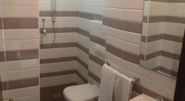 Трёхместный номер Standard Hotel Orlov