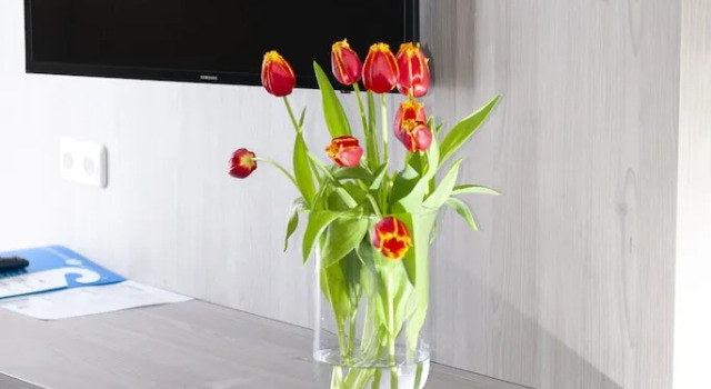 Трёхместный номер Standard Fletcher Hotel Restaurant De Gelderse Poort