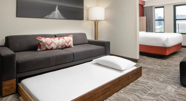 Двухместный люкс с видом на город SpringHill Suites by Marriott Dallas Downtown / West End