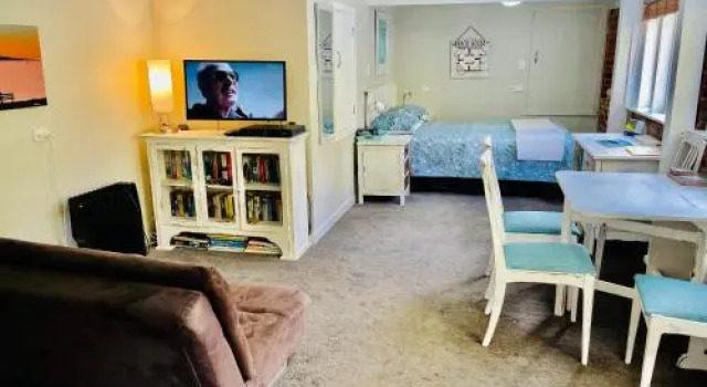 Whitby Studio - Mairangi Bay Beach