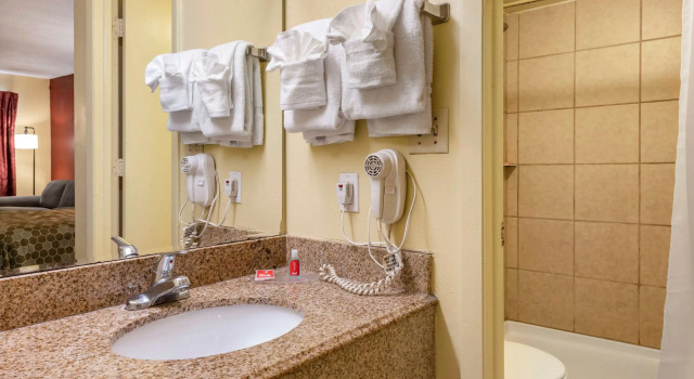 Двухместный номер Standard Econo Lodge Inn & Suites Maingate Central
