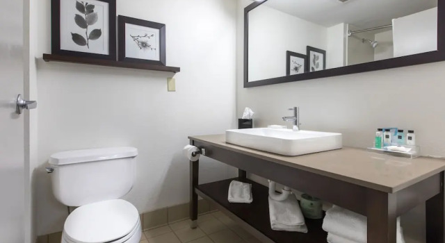 Двухместный номер Standard Country Inn & Suites by Radisson, Lake Norman Huntersville, NC