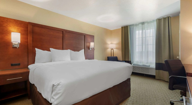 Двухместный номер Standard Comfort Inn & Suites Euless DFW West